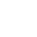 norton-icon